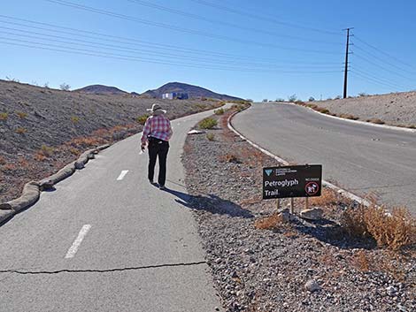 BLM 100 Trail