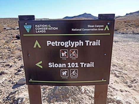 BLM 100 Trail