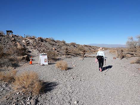 Petroglyph Canyon Trail