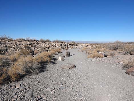 Petroglyph Canyon Trail