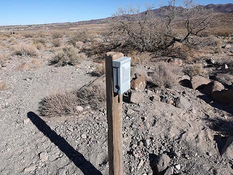 Petroglyph Canyon Trail