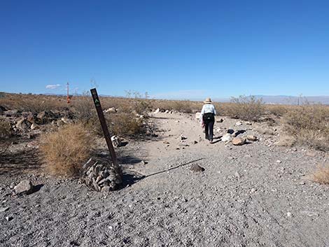 Petroglyph Canyon Trail