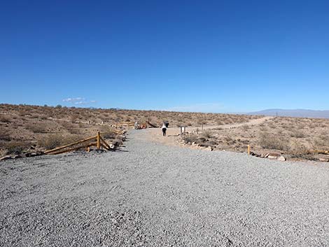 Petroglyph Canyon Trail