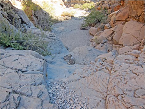 Sloan Canyon BLM 100 Trail