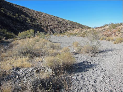 Sloan Canyon BLM 100 Trail