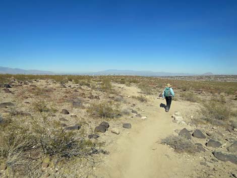 Petroglyph Trail