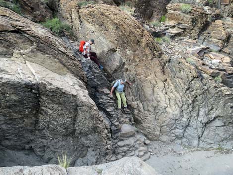 Petroglyph Trail