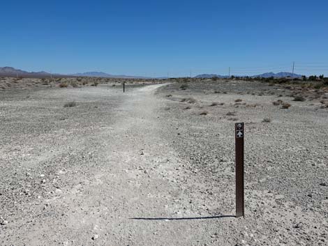 Aliente Loop Trail