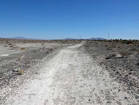 Aliente Loop Trail