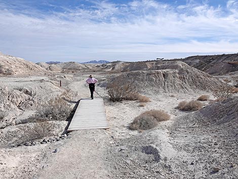 Big Dig Trail