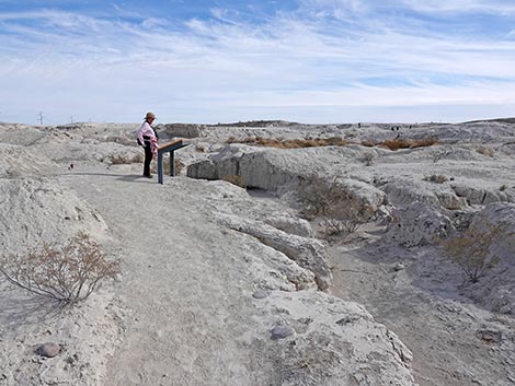 Big Dig Trail