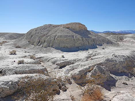 Big Dig Trail