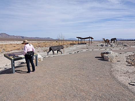 Megafauna Trail