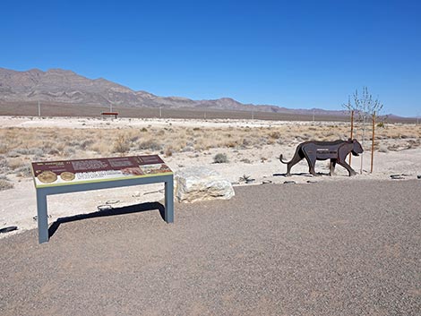 Megafauna Trail