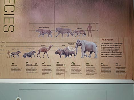 Ice Age Fossils State Park Visitor Center