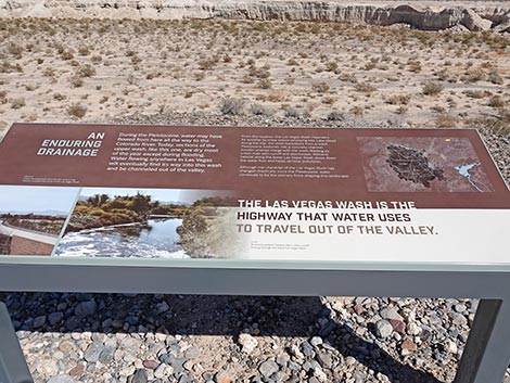 Las Vegas Wash Trail