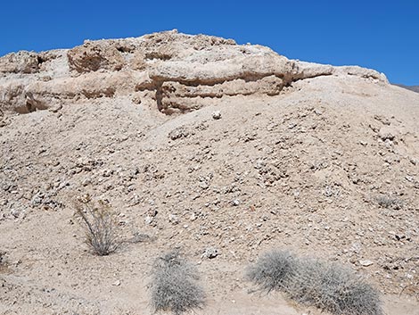 Las Vegas Wash Trail