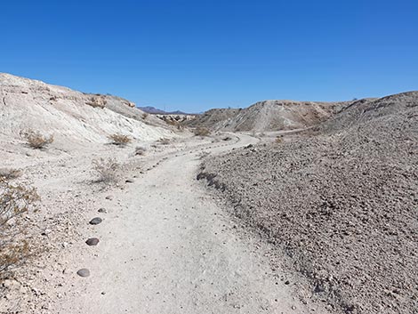 Las Vegas Wash Trail