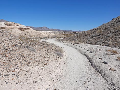 Las Vegas Wash Trail