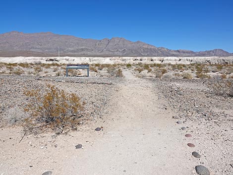 Las Vegas Wash Trail