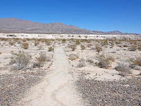 Las Vegas Wash Trail