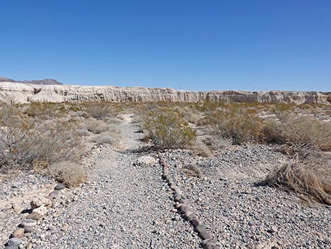 Las Vegas Wash Trail