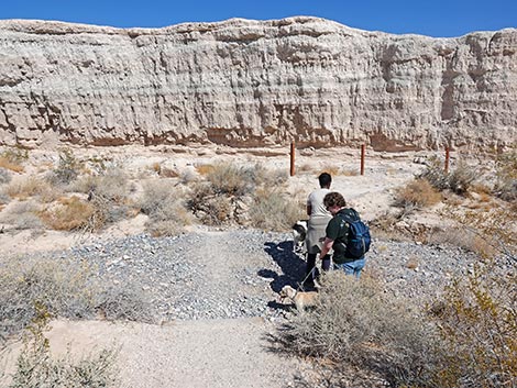 Las Vegas Wash Trail