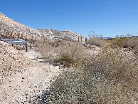 Las Vegas Wash Trail