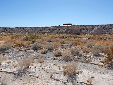 Las Vegas Wash Trail