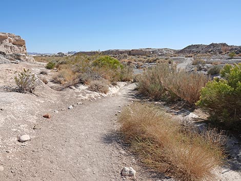 Las Vegas Wash Trail