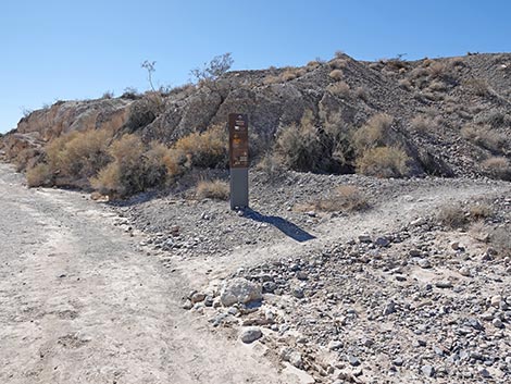 Las Vegas Wash Trail