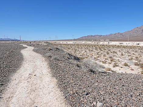 Las Vegas Wash Trail