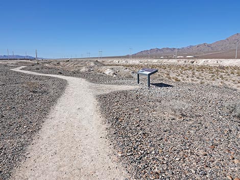 Las Vegas Wash Trail