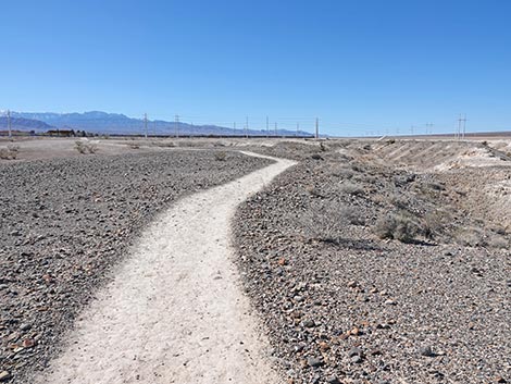 Las Vegas Wash Trail