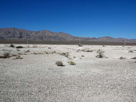 Aliente Loop Trail