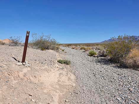 Durango Temporary Loop Trail -- Long