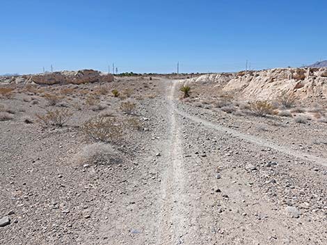 Durango Temporary Loop Trail -- Long