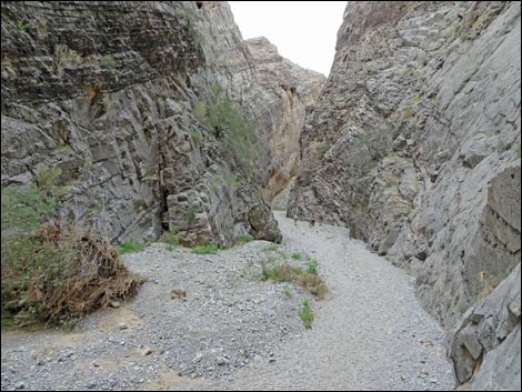 Arrow Canyon