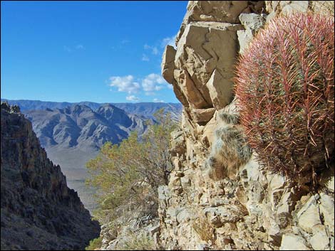 Arrow Canyon Range