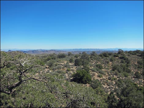 Wee Thump Overlook