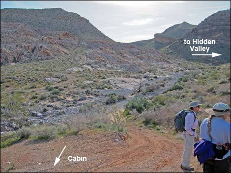 Colorock Canyon Loop