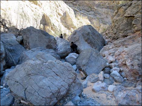 Colorock Canyon Loop