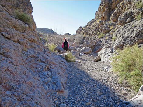 Colorock Canyon Loop