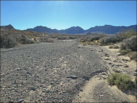 Colorock Canyon Loop