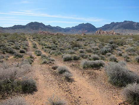 Hidden Valley Arch