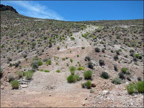 Hidden Valley East Trail