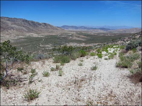 Hidden Valley East Trail