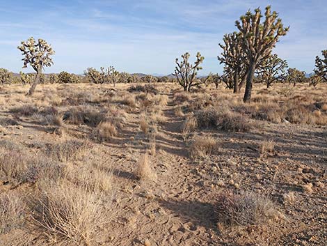 El Dorado Wagon Road Trail