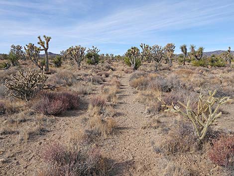 El Dorado Wagon Road Trail