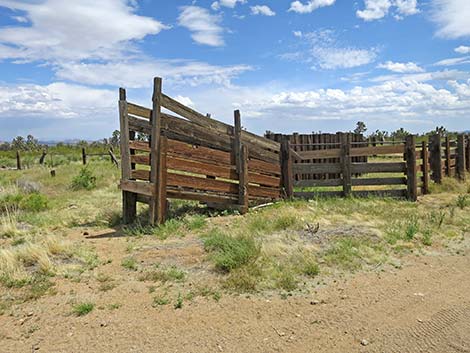 Wee Thump Corral